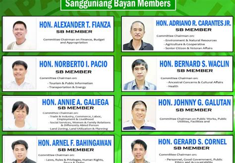 sangguniang bayan in english|The Sangguniang Bayan.